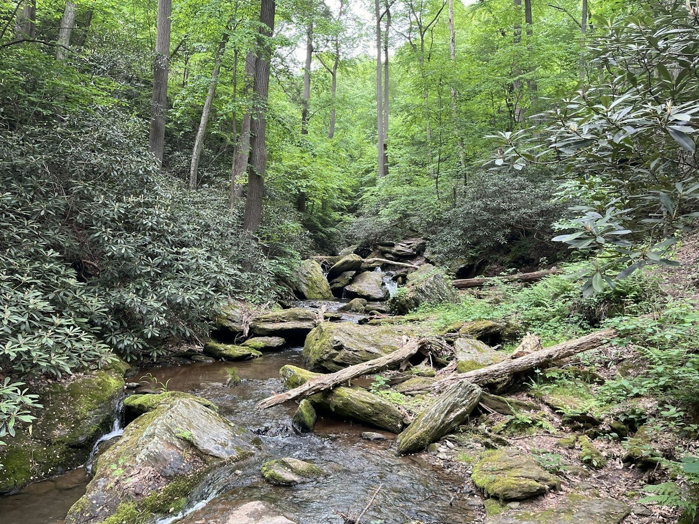 Top 21 Trails for Hiking, Biking & More | Discover Lancaster